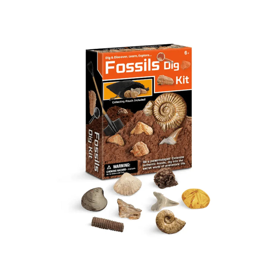 Eduman FOSSIL STONE DIGGING DISCOVERY SET
