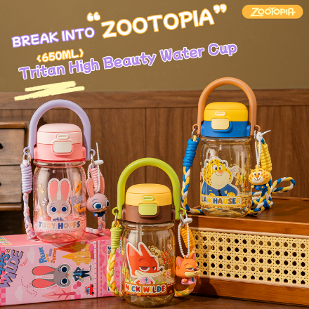 730ML WATER BOTTLE