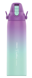 810ML STAINLESS STEEL THERMAL BOTTLE
