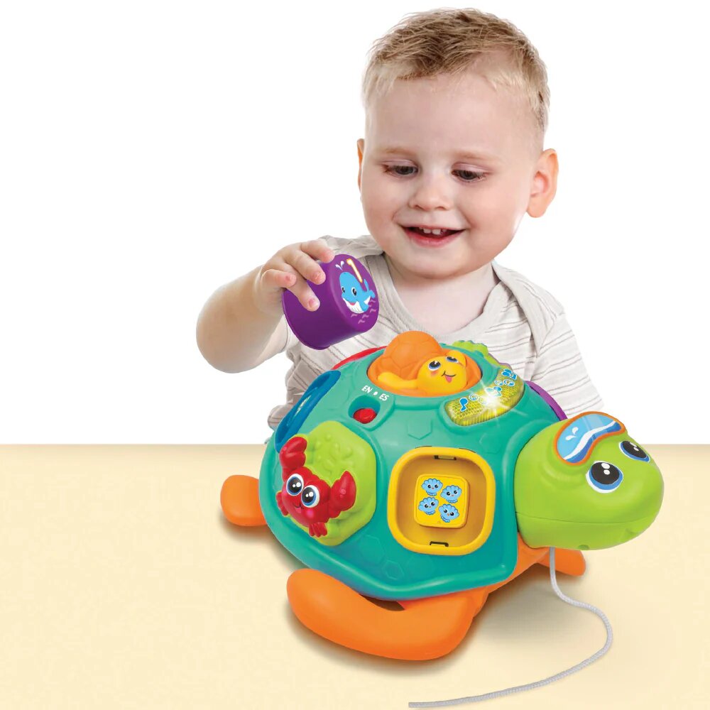 Winfun Pull Along Sort 'N Learn Turtle