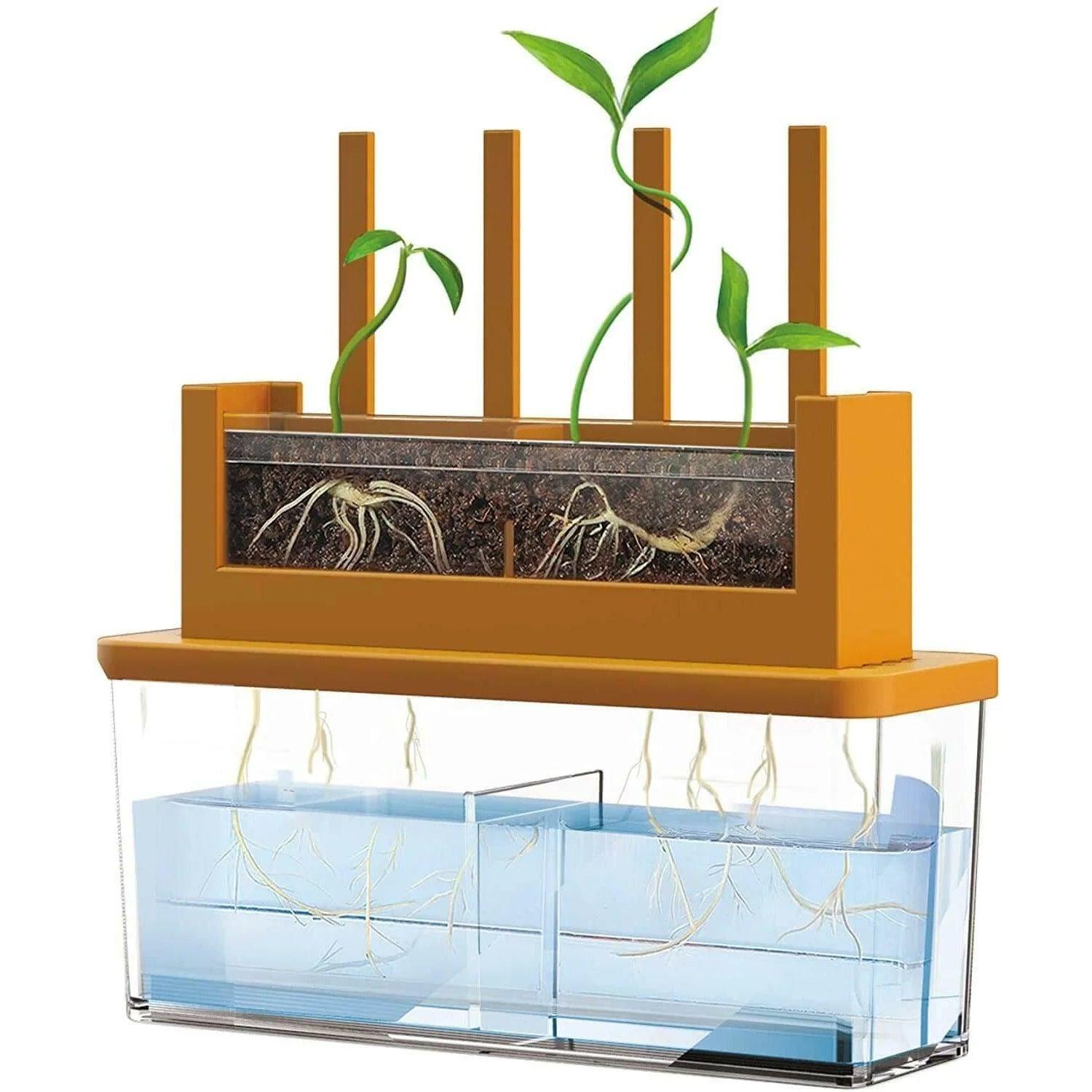 4M Green Science - GROW-A-MAZE