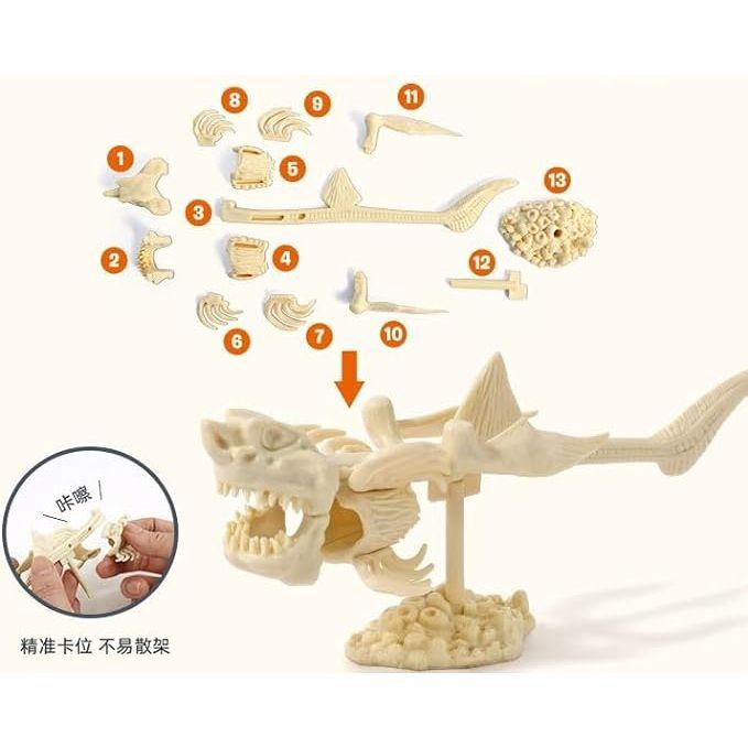 Eduman Dig & Explore! Prehistoric Life (Carcharocles Megalodon) HW012, 6+