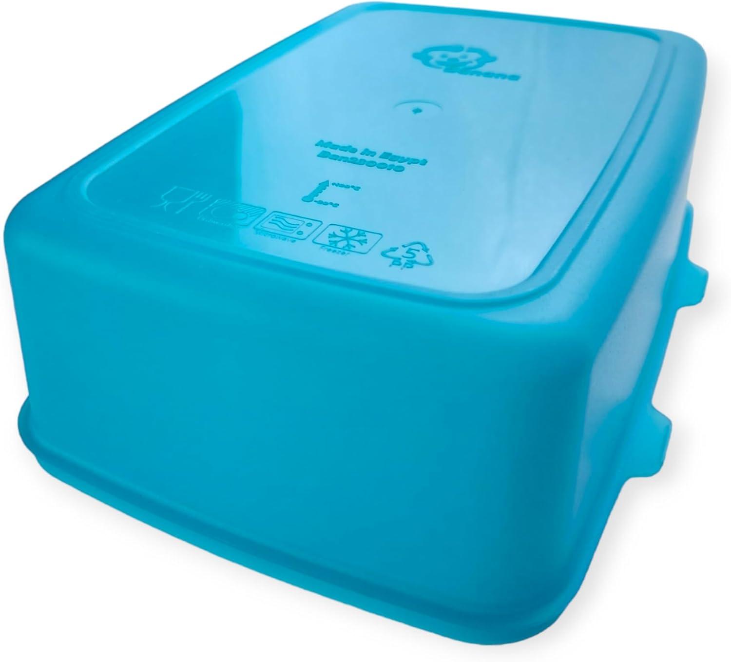 Banana Divided Lunch Box With Splitter 1.5L – Turquoise