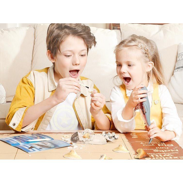 Eduman Shark Anatomy Model HW011, 6+