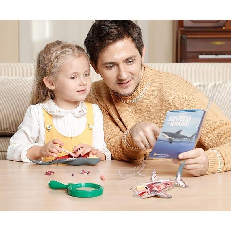 Eduman Shark Anatomy Model HW011, 6+