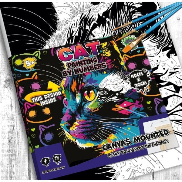 Splat Planet cat Pop Paint By Numbers 40 x 30cm