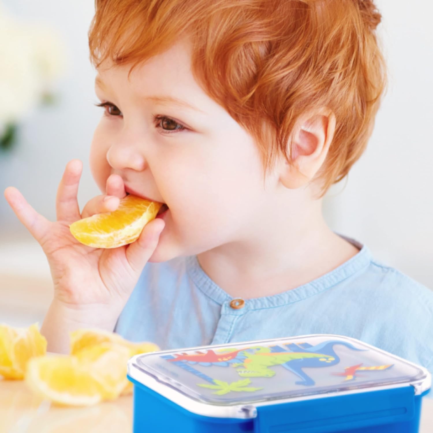 Stephen Joseph Bento Box Space