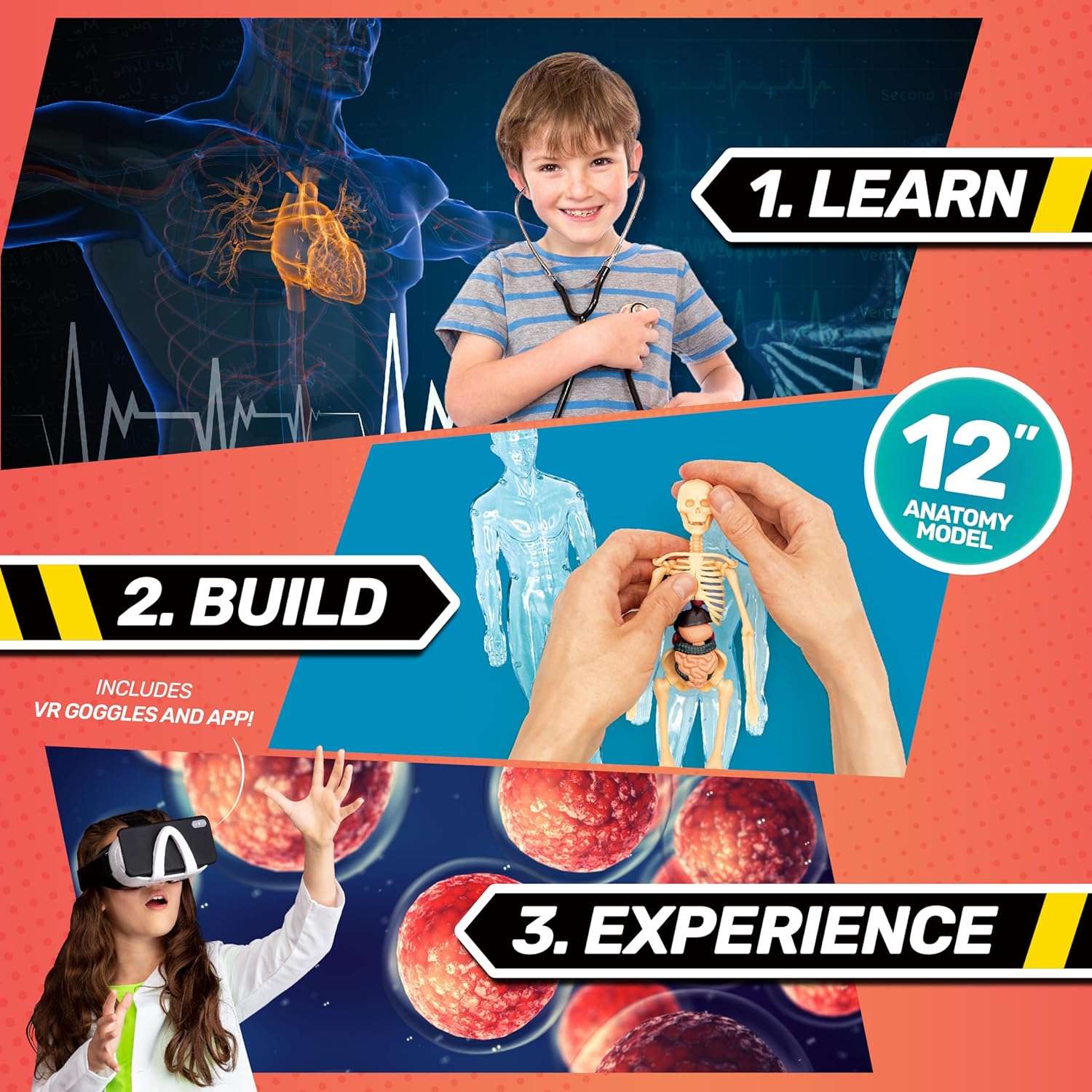 Abacus Brands Bill Nye's Science Squad: Body Lab VR - Virtual Reality Kids Science Kit, Book and Interactive Learning Activity Set - for Ages 8 and Up