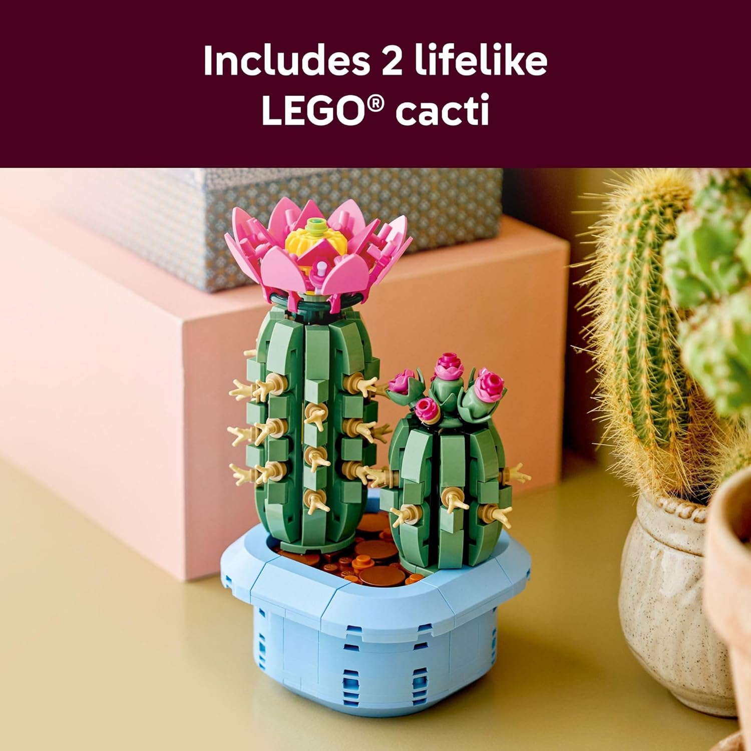 LEGO Botanicals Flowering Cactus Building Toy - Crafting Kit for Girls & Boys, Ages 9+ - Gift for Birthdays - Cactus Room Decor for Display for Bedroom or Book Shelf - 11509
