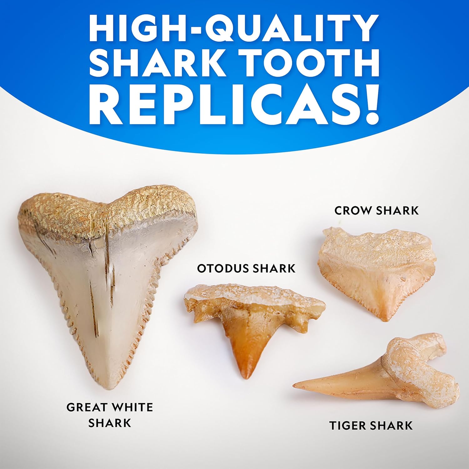 National Geographic - Shark Tooth Dig Kit