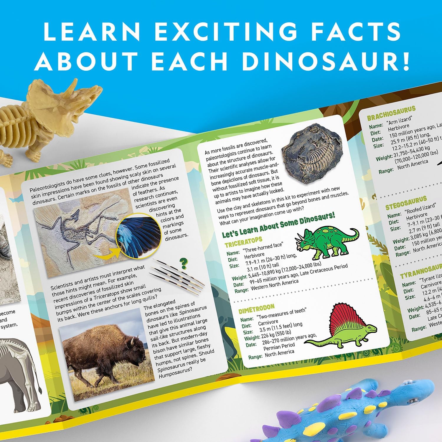 National Geographic - Clay Dinosaur Modeling Kit