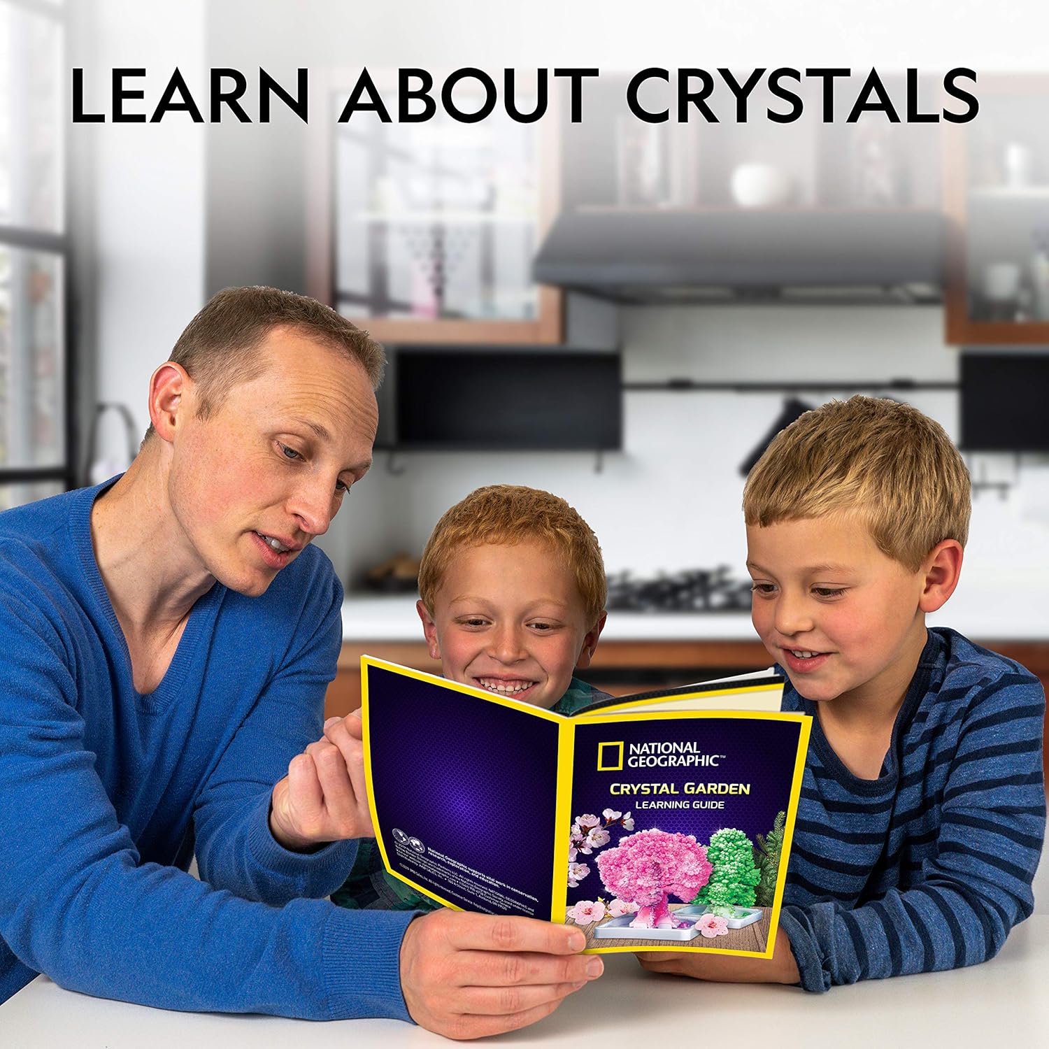 National Geographic Crystal Garden Kit
