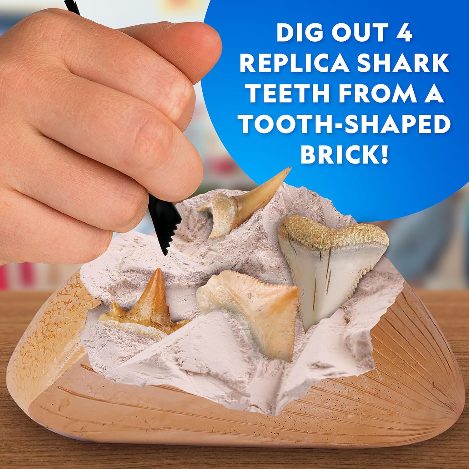 National Geographic - Shark Tooth Dig Kit