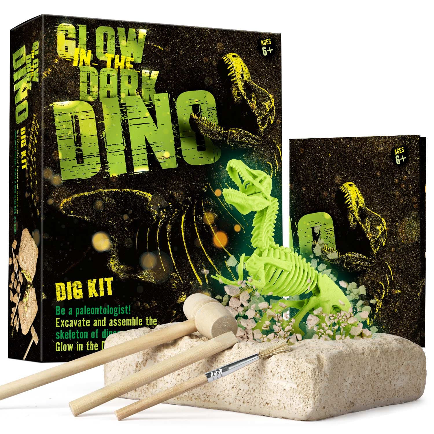 Eduman Dino Skeleton STEM Dig Kit for Kids EDM023