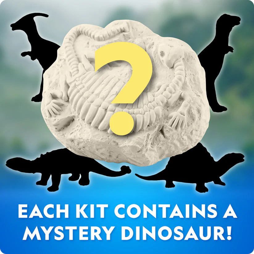 National Geographic Dinosaur Excavation Kit 5 Assortment - 1 Pcs