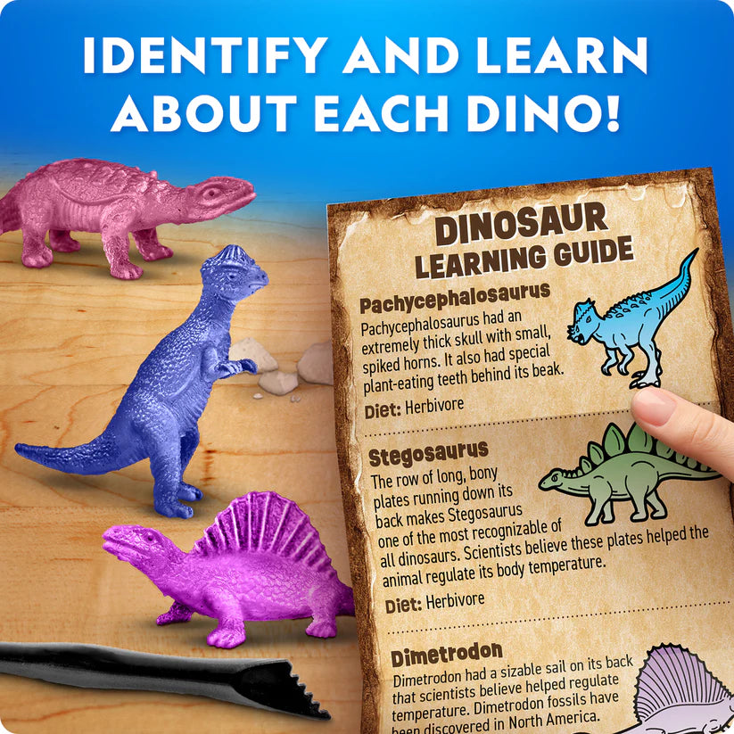 National Geographic Dinosaur Excavation Kit 5 Assortment - 1 Pcs