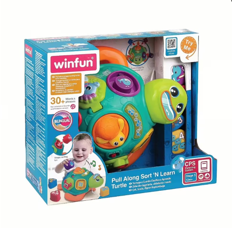 Winfun Pull Along Sort 'N Learn Turtle