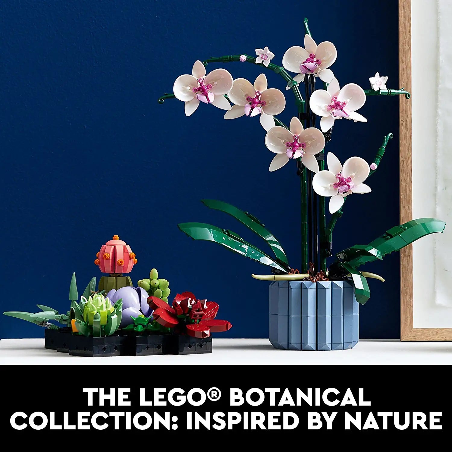 LEGO Icons Orchid 10311 Artificial Plant Building Set with Flowers, Home Décor Gift for Adults, Botanical Collection - BumbleToys - 14 Years & Up, 8+ Years, Girls, Icons, LEGO, OXE, Pre-Order