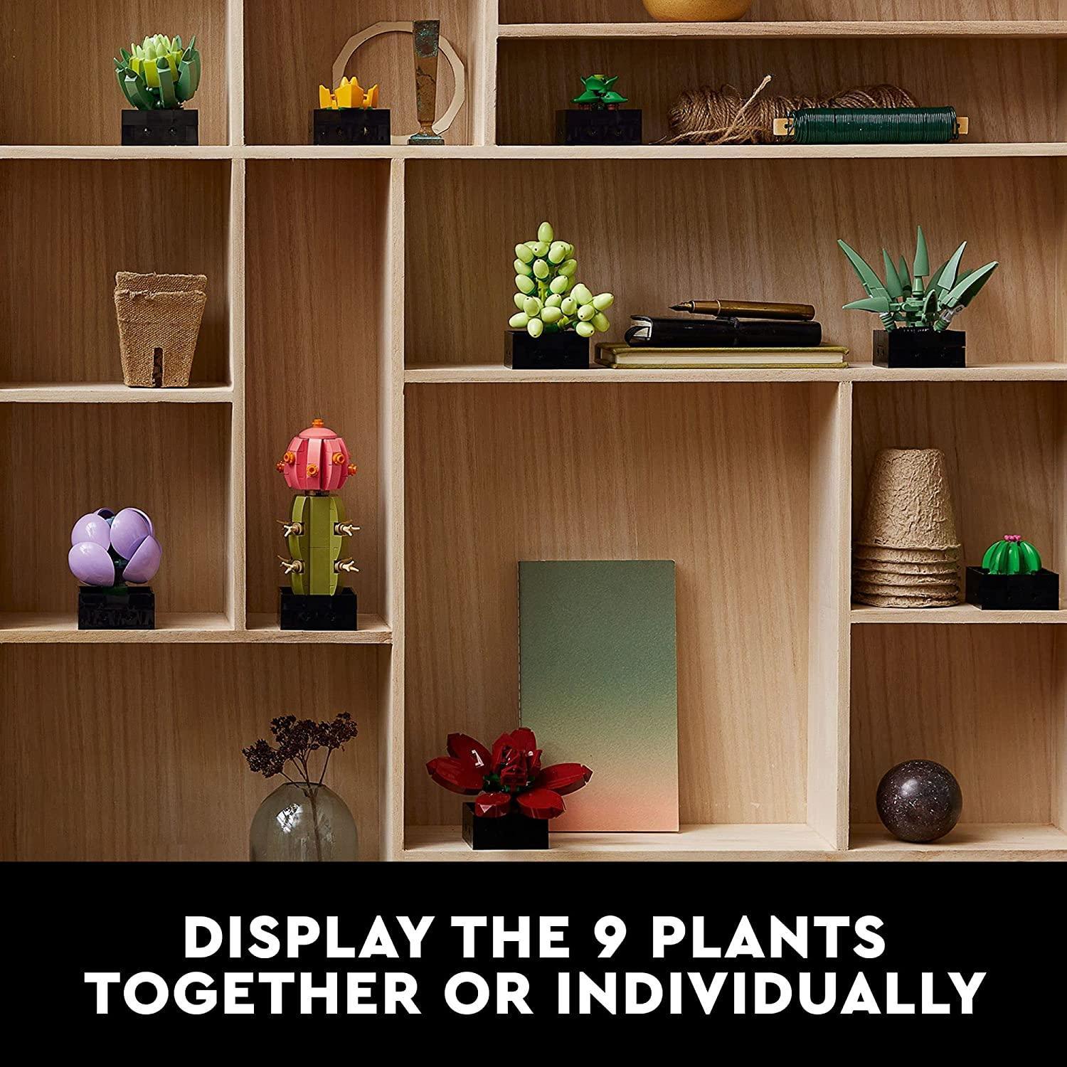 LEGO Icons Succulents 10309 Artificial Plants Set for Adults, Valentines Day Gifts, Home Décor, Creative Gift Idea (771 Pieces) - BumbleToys - +18, 14 Years & Up, 8+ Years, Girls, Icons, Ideas, LEGO, OXE, Pre-Order